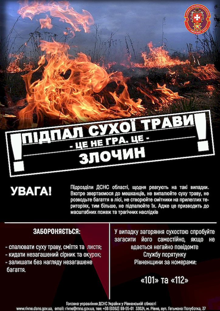 Суха трава7
